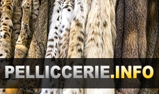 Pelliccerie a Macerata by Pelliccerie.info